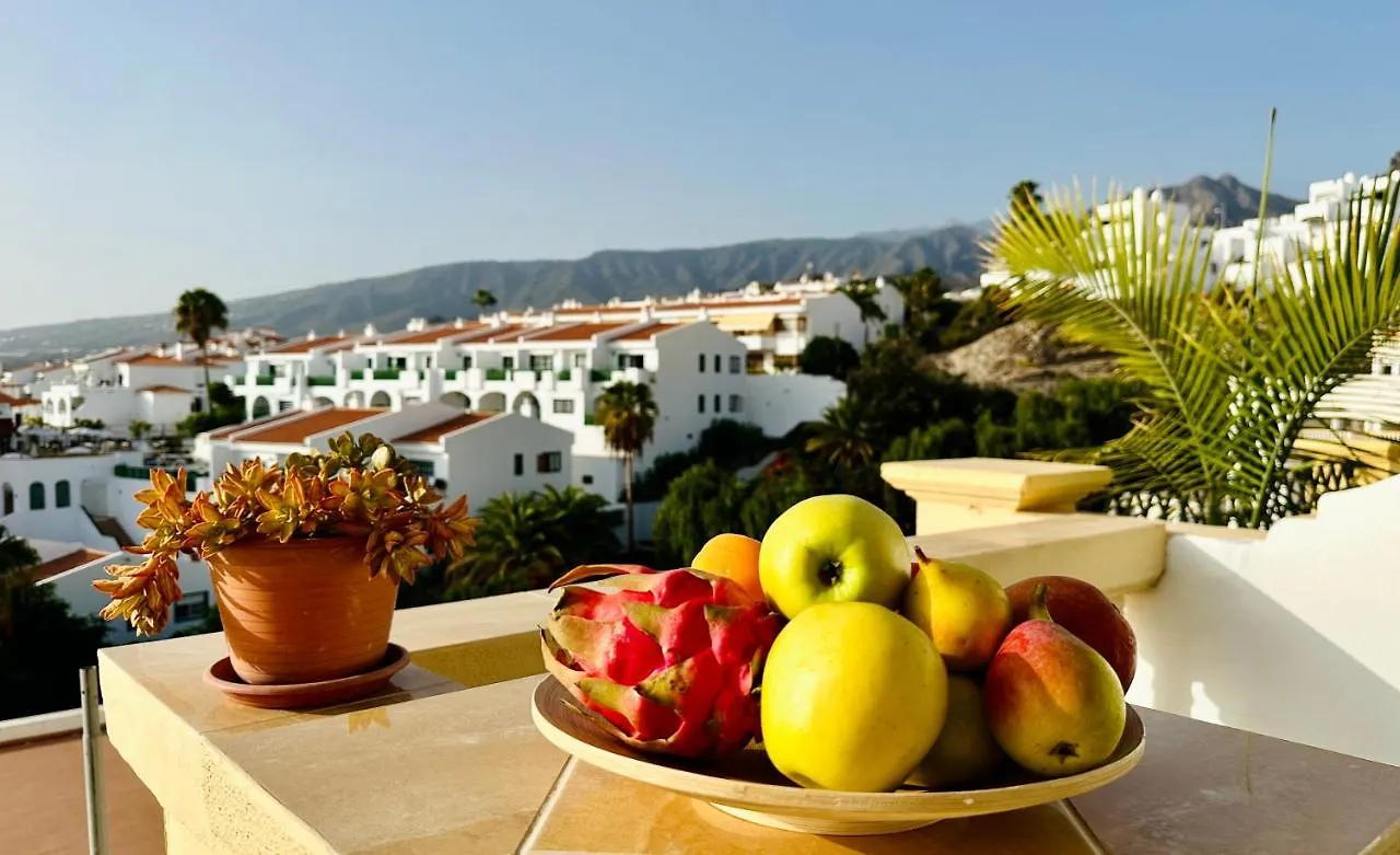 Costa Adeje - Amazing Ocean And Teide View - Fast Wifi, Air Con Apartment  Costa Adeje (Tenerife)
